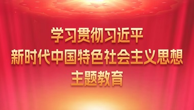 学习贯彻习近平新时代中国特色社会主义思想